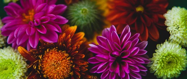 诚实守信，合作长久